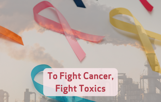 Image of a graphic design with toxic pollution and text that says To Fight Cancer, Fight Toxics